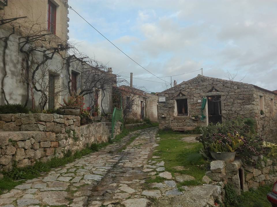 ”Scusi per Lollove”?